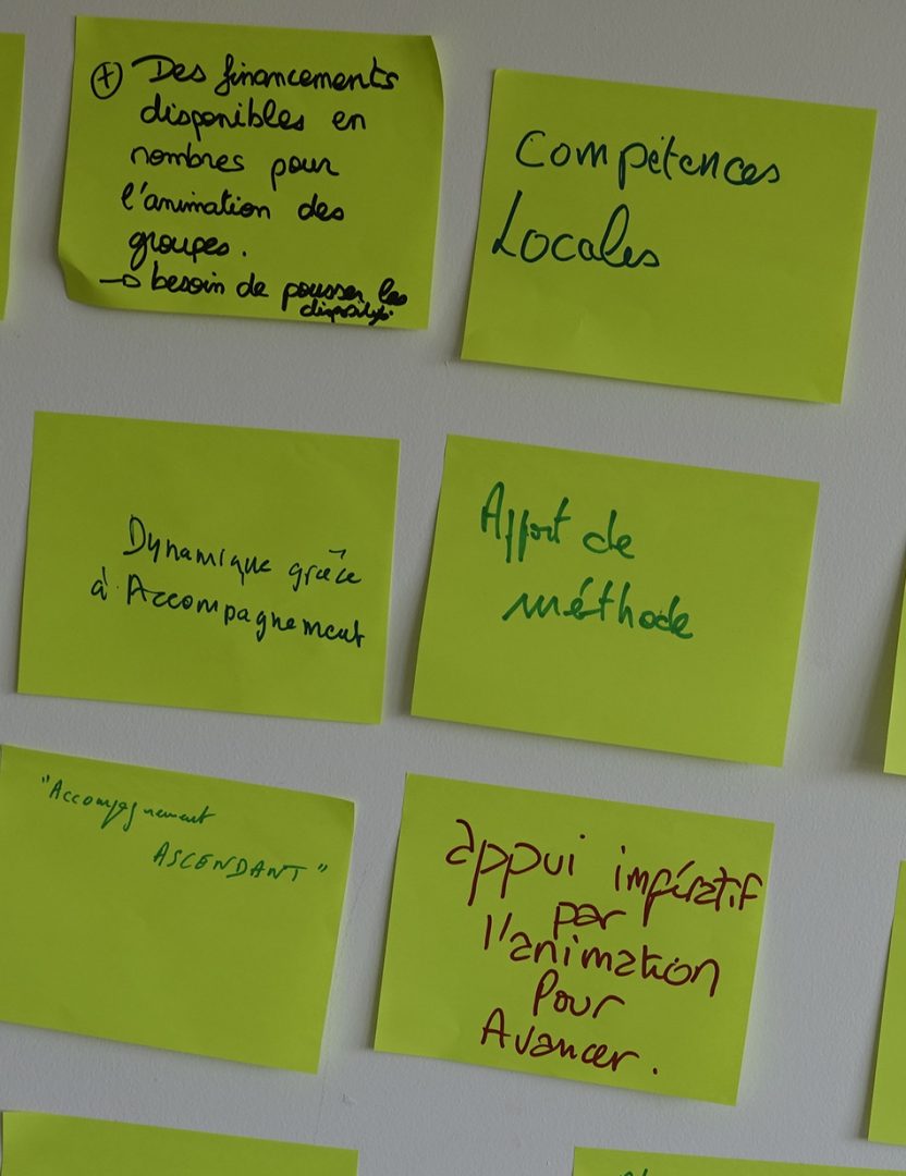 animation federation Cuma